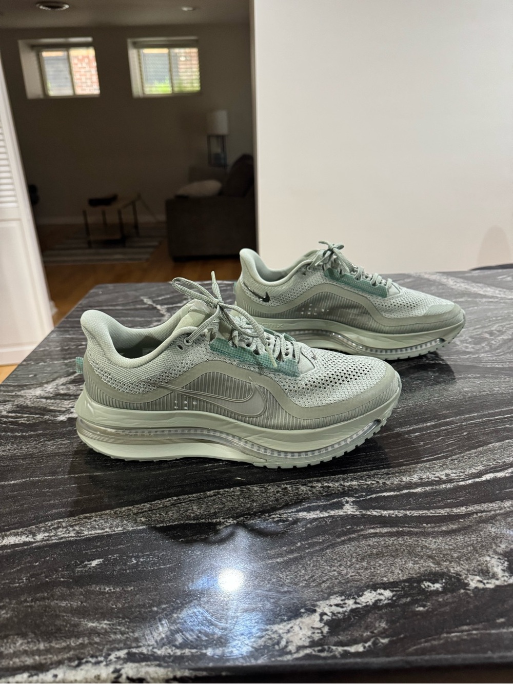 Nike Pegasus Premium